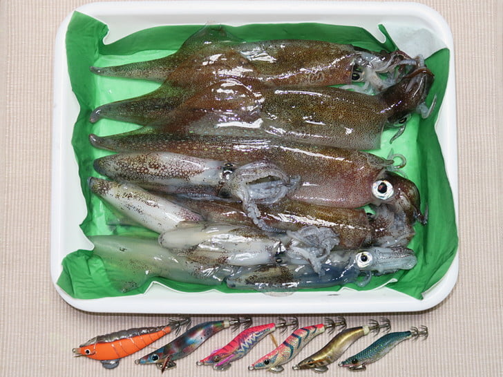 マメ5ヤリ4