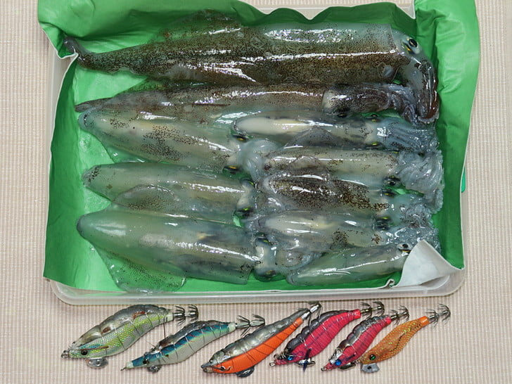 ヤリ2マメ8