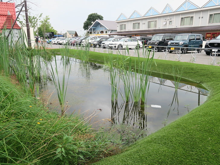 湧水池の名残り