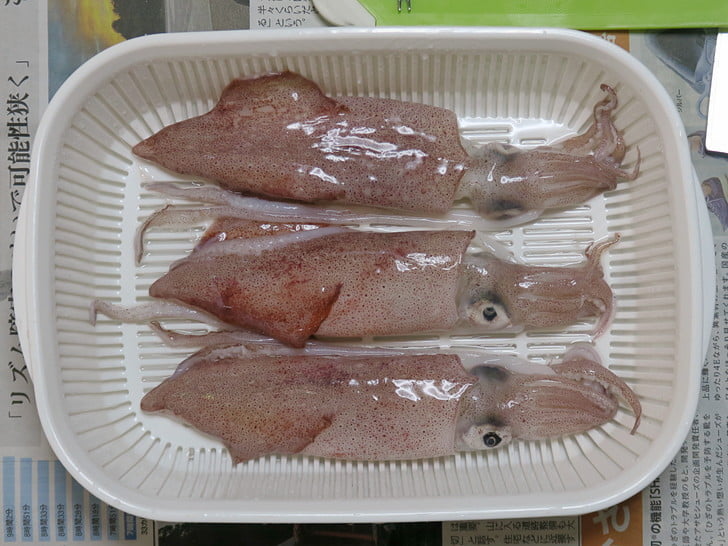 和歌山産ケンサキイカ