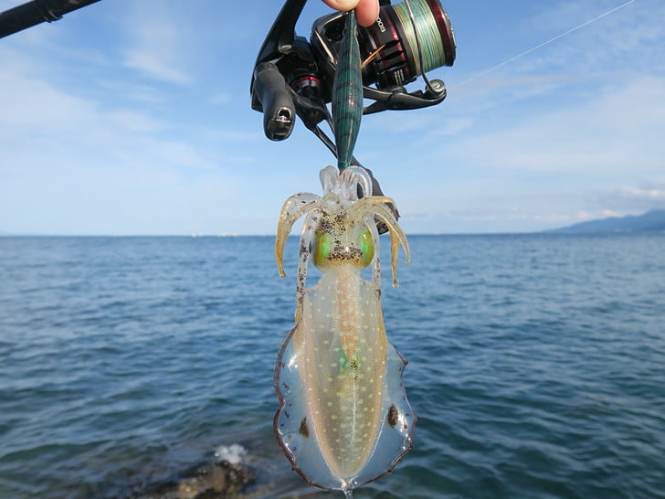 ラスト1投、あの軍艦グリーンで