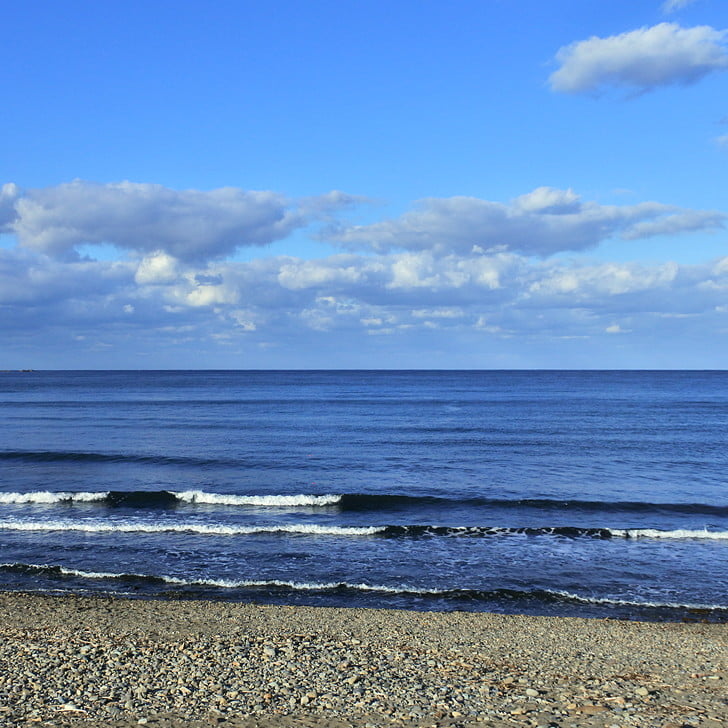 [某海岸]