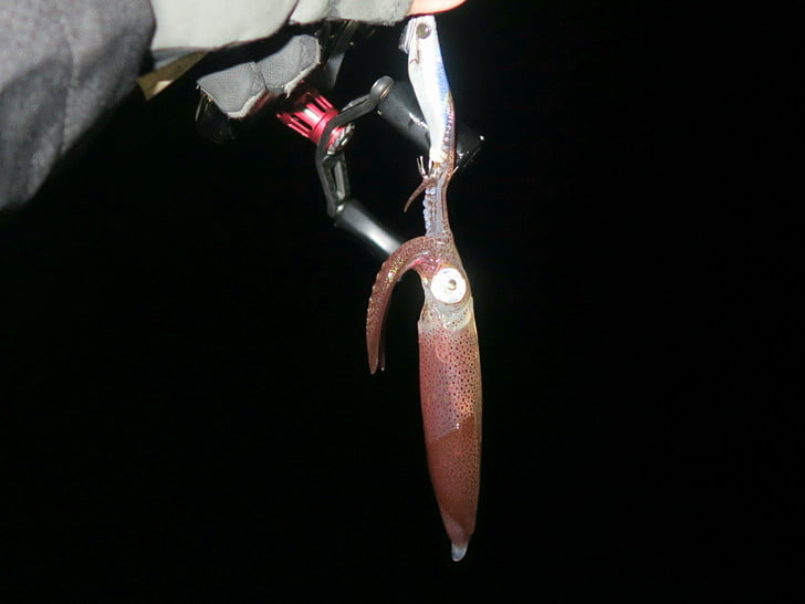 2投目連発したけど・・