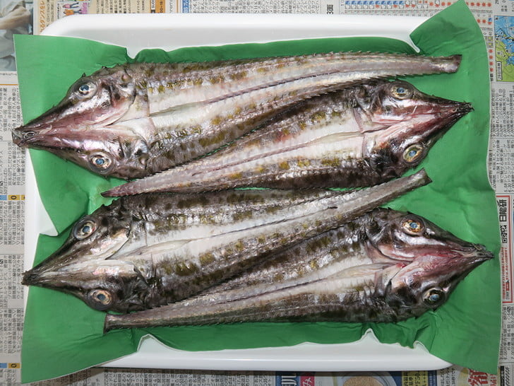 三十二角