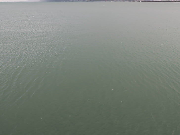 濁った海