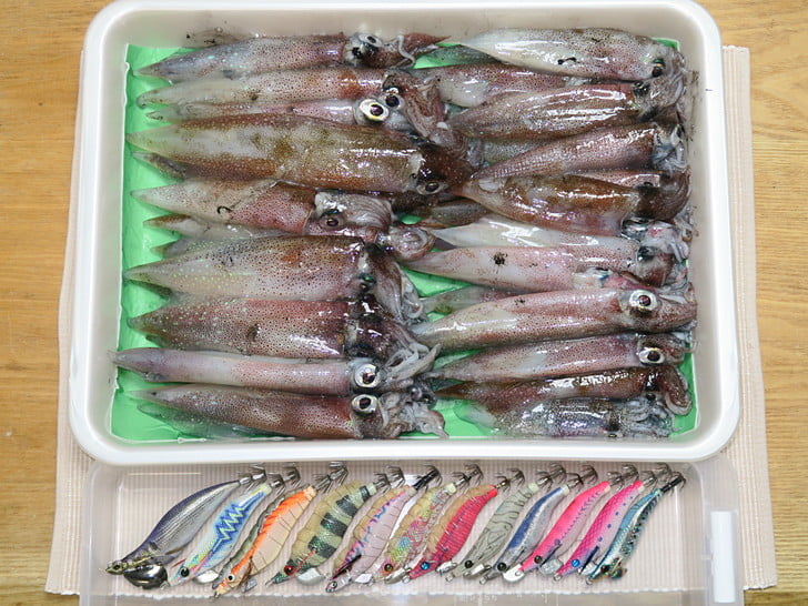 おうちでカウント