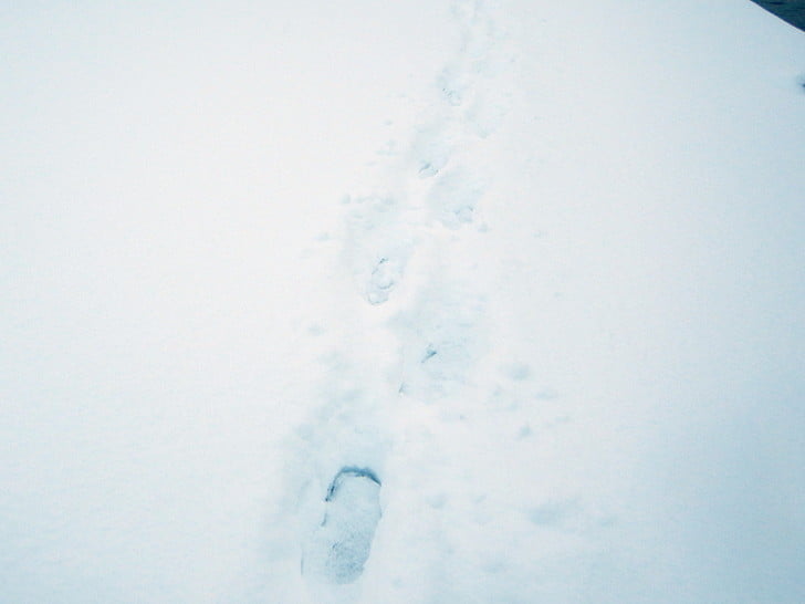 先人の足跡をたどって・・