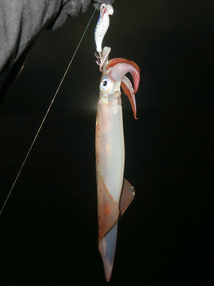 デカヤリ、出たァ～ッ！