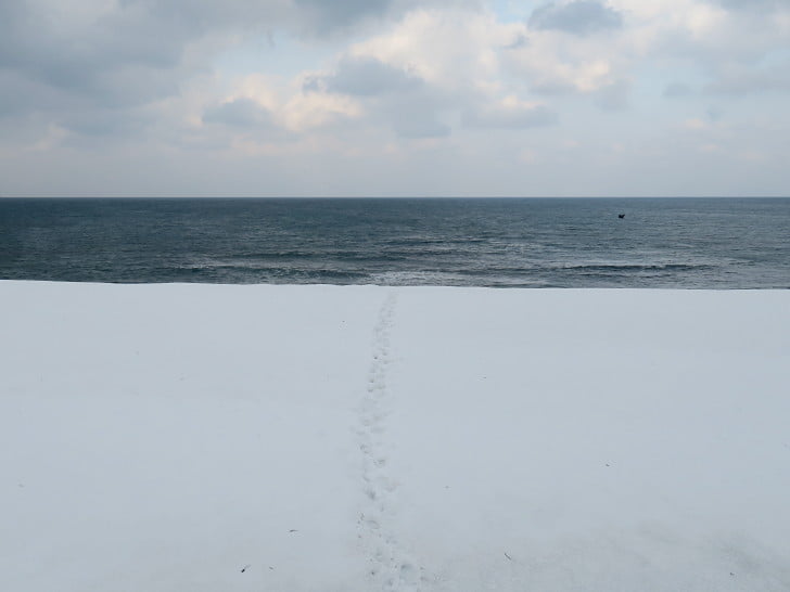 風が出てきたけど・・