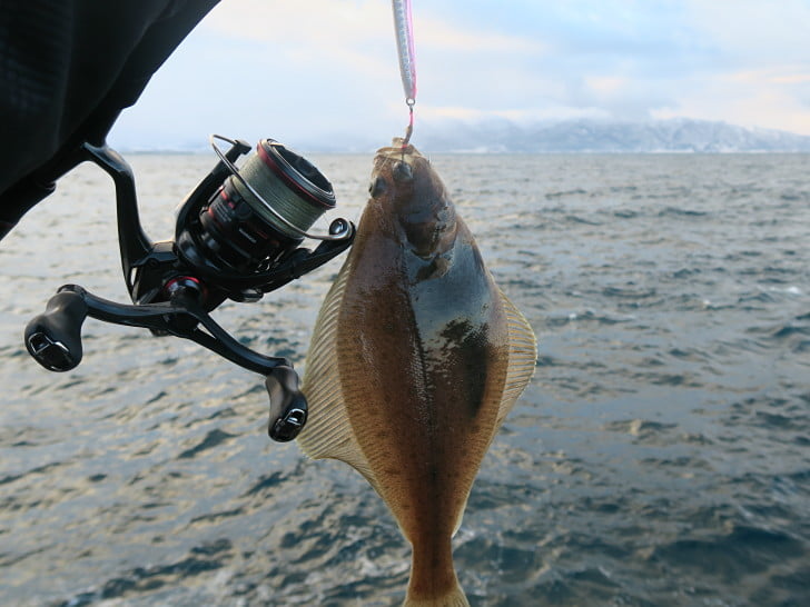 ルアーで新魚種キャッチ!