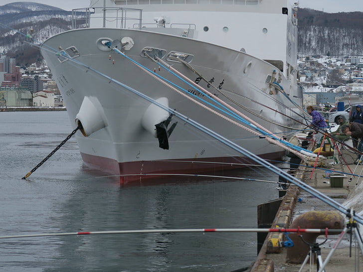 釣り人多め