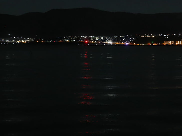 夜間のイカ調査