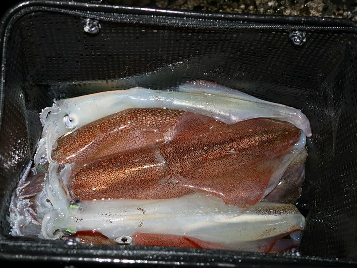 たっぷり楽しめた