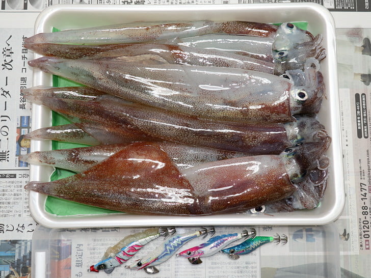 全部オスヤリ、型揃い