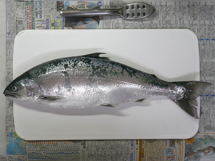 44cmだった
