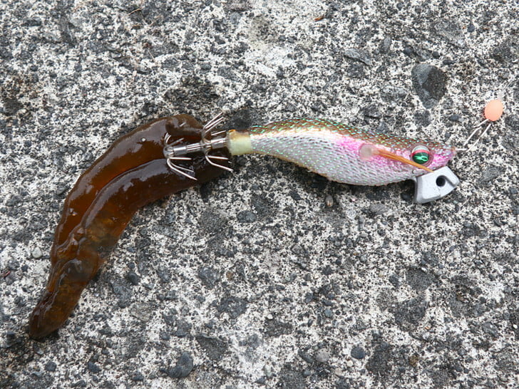 これって・・