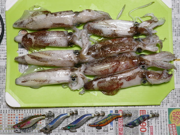 今回も渋かった・・