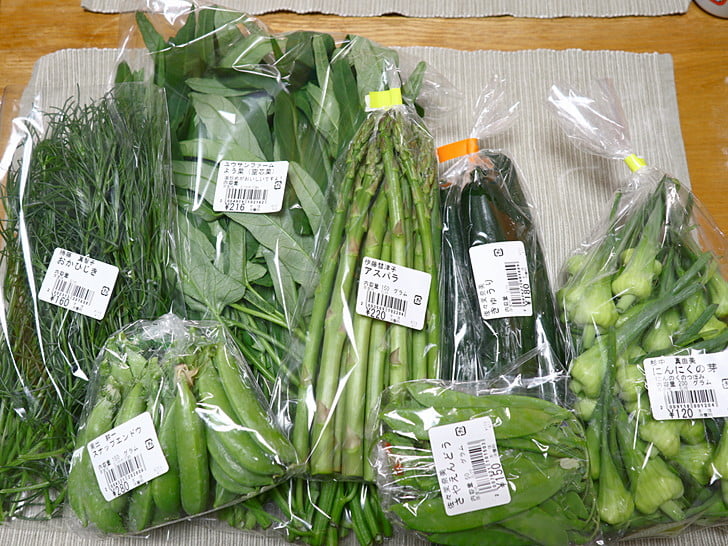 今日は野菜をおみやげに