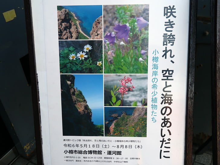 これ見に来た