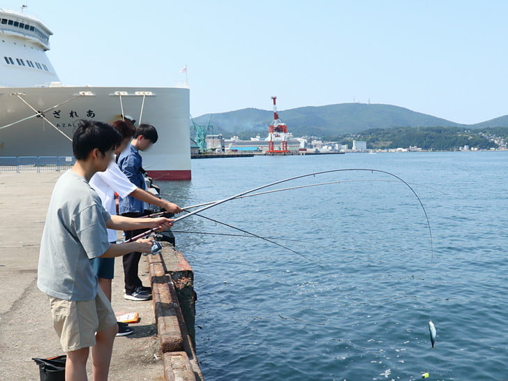 サバが釣れてた