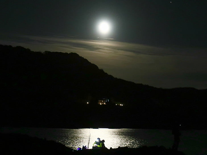 今夜は十六夜