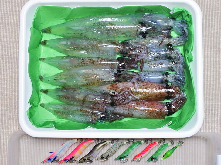 今夜も難しかった・・
