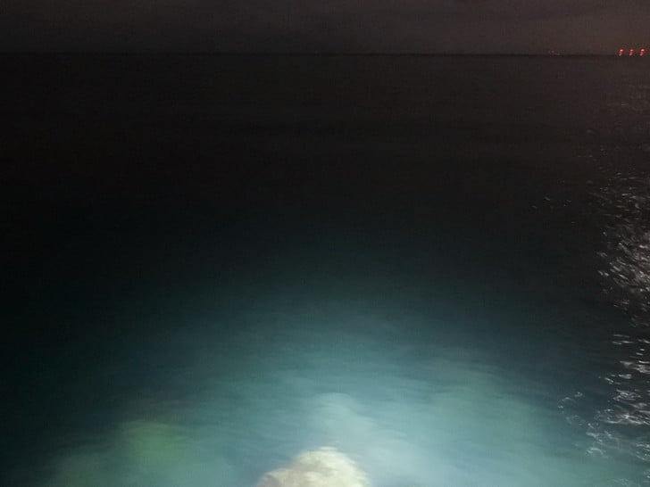 ここでマメ釣れるかな