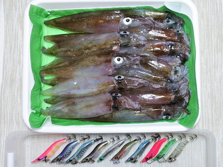 小ヤリ揃い