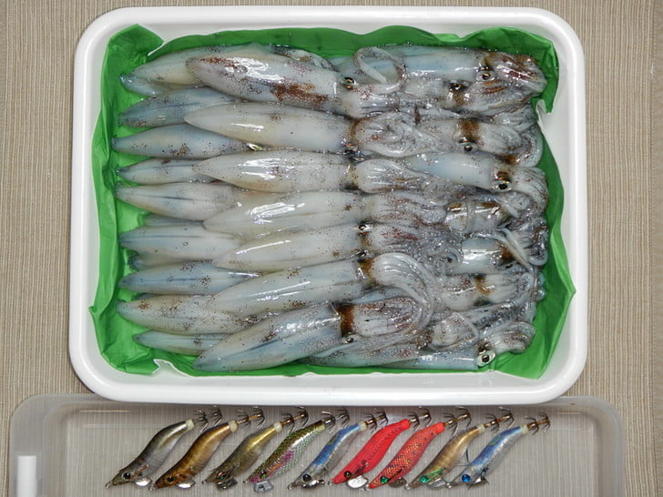 マメ数釣りは久しぶり