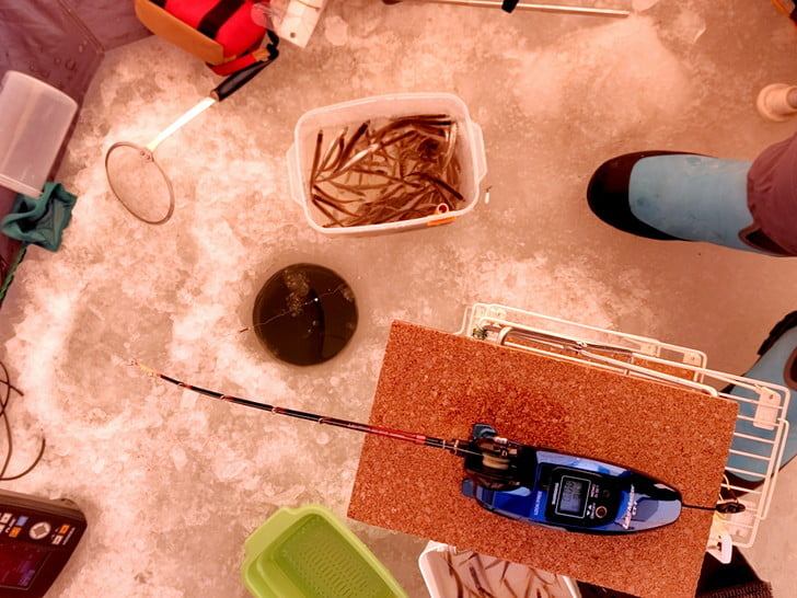 ぼちぼち釣れた