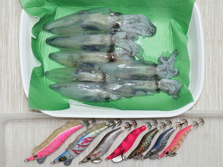 釣れただけでもヨシ