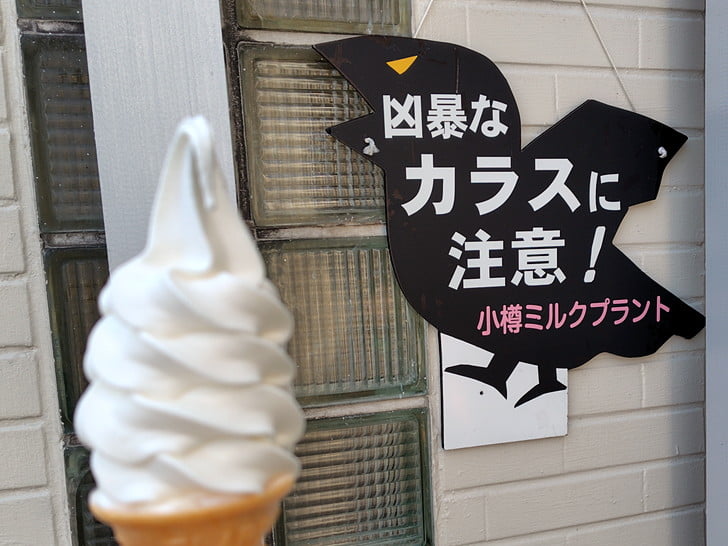 プレオープン