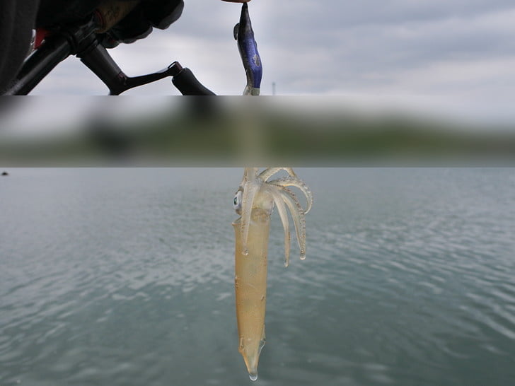 1投目からキター