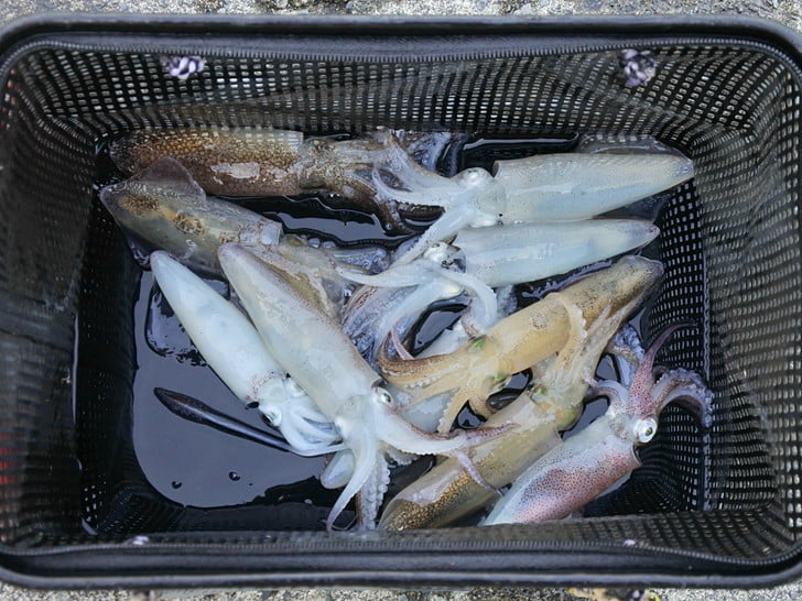 なんとかつ抜け