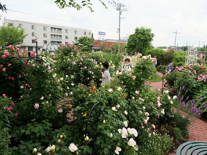 花も人もにぎやか