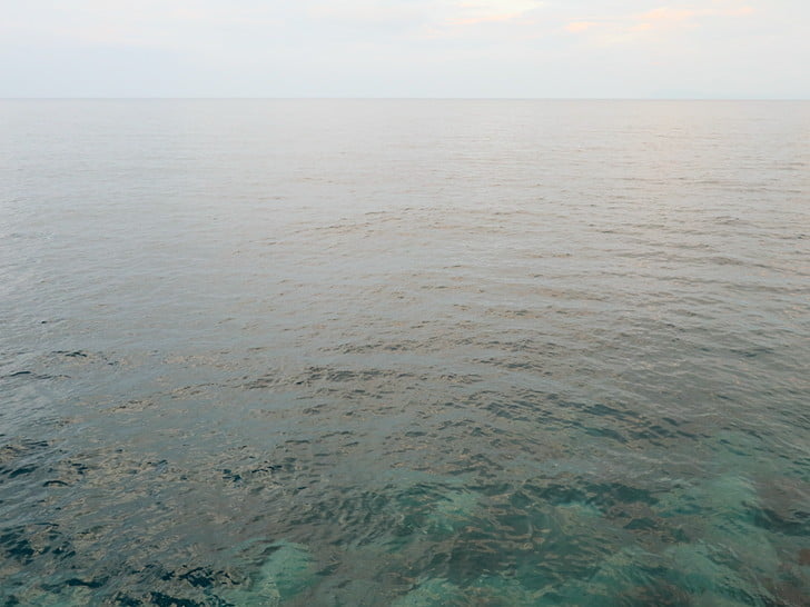 夕方からの釣り
