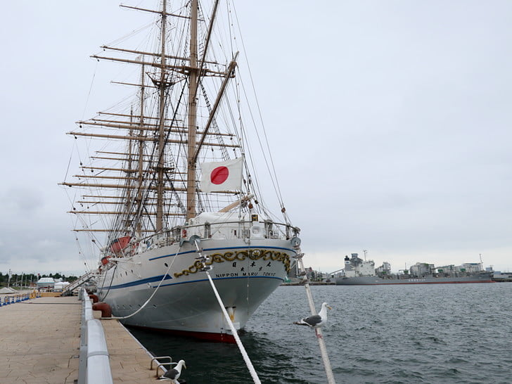 釣り人いない・・