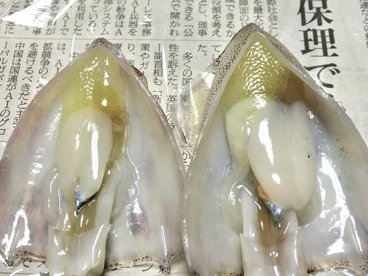 びっしり