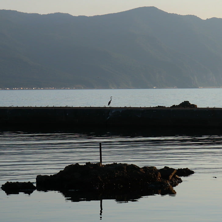 [夕方の海]