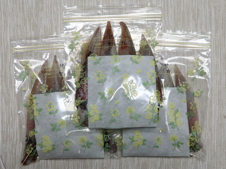 今回は全部ご近所さんへ