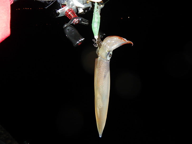 490グリーンにヒット