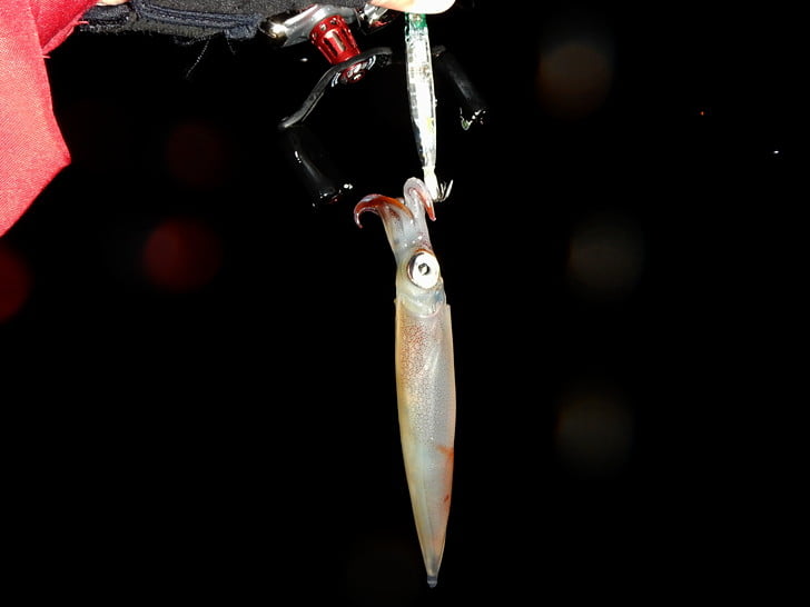 パンチラインでキャッチ