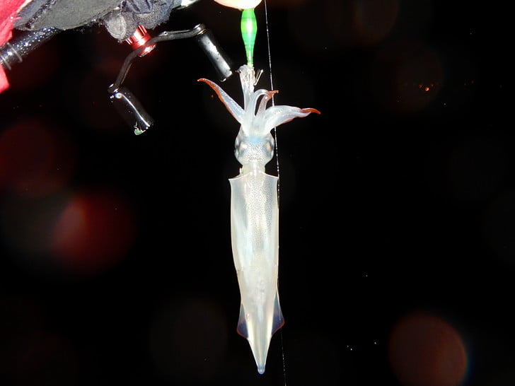 驚異のグリーンスッテ