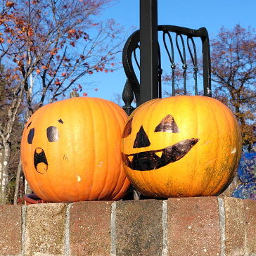 [ジャックオーランタンもどき]