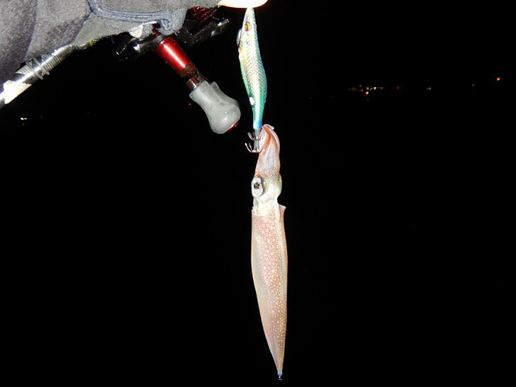 やっと反応来た