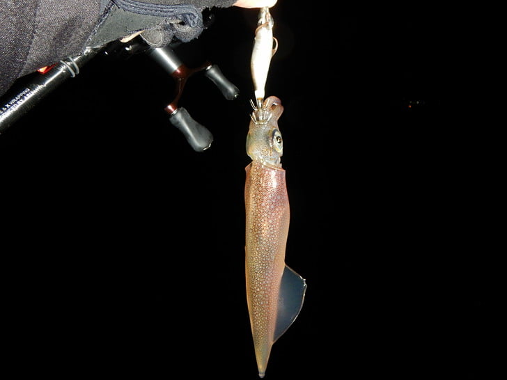 回収巻き追尾ミサイルを撃破