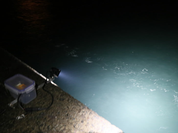 イカチャレンジ