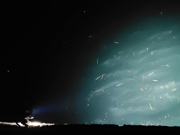 けっきょく先週のリベンジ戦に