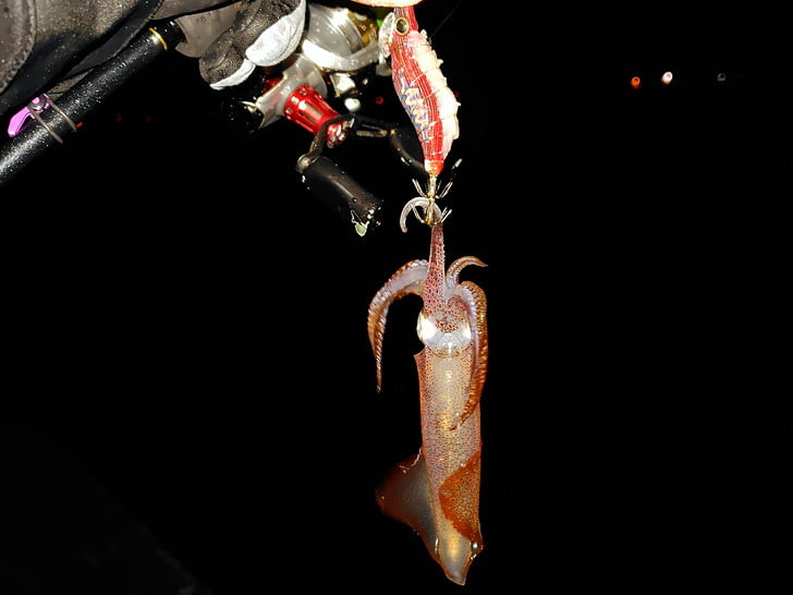 エサでまずつ抜けちゃおう