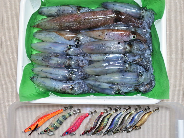 マメに入れ替わってた